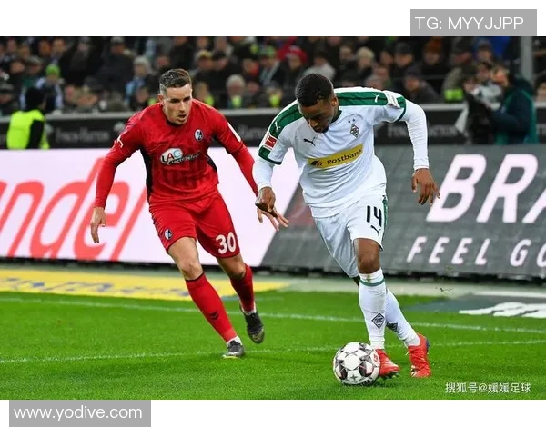 2007年欧塞尔对阵图卢兹比赛回顾及精彩瞬间分析