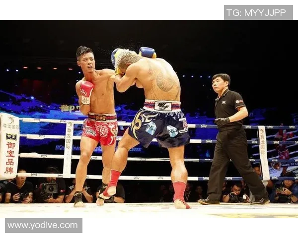 安迪苏瓦与焦富开精彩对决引发热议谁能在这场较量中胜出